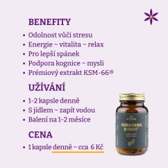 Ašvaganda ~ KSM66 extrakt kapsle ~ benefity, užívání a cena za den 