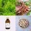 První produkt v balíčku ~ šatavari ~ vegan kapsle BIO 120 ks ~ ženská síla První produkt v balíčku ~ šatavari ~ vegan kapsle BIO 120 ks ~ ženská síla