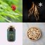 Ženšen ~ fermentovaný extrakt kapsle ~ další produktové fotografie