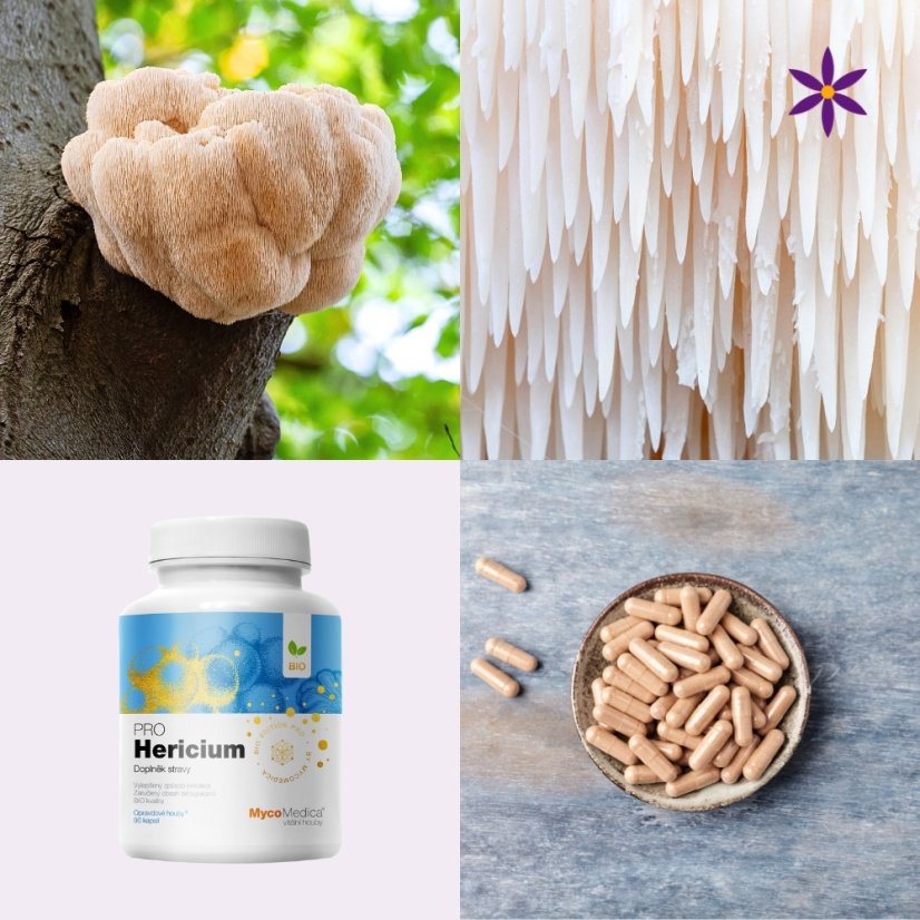 Hericium ~ vegan kapsle ~ další produktové fotografie