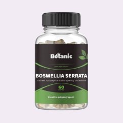 Boswellia serrata ~ čistá produktová fotografie Boswellia serrata ~ čistá produktová fotografie