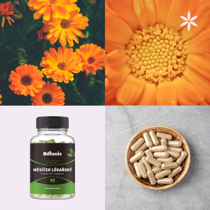 Měsíček lékařský ~ extrakt vegan kapsle ~ další produktové fotografie
