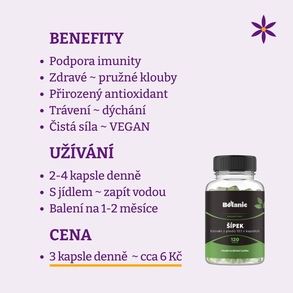 Šípek vegan kapsle ~ Benefit, užívání a cena za den