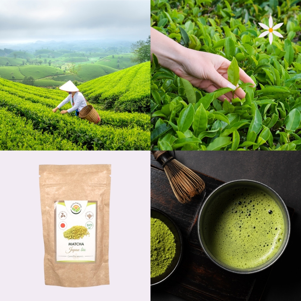 Japonská Matcha ~ mletý zelený čaj ~ Další produktové fotografie 