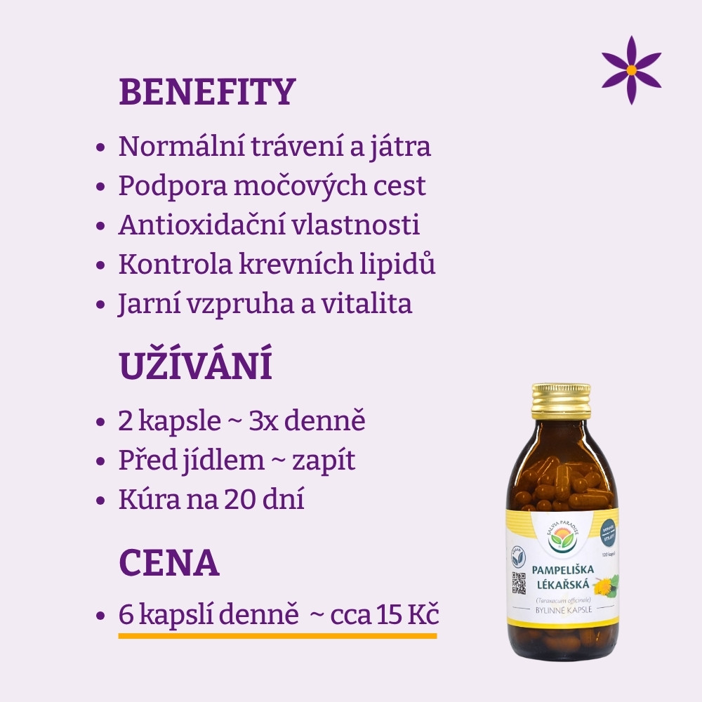 Pampeliška vegan kapsle ~ Benefit, užívání a cena za den