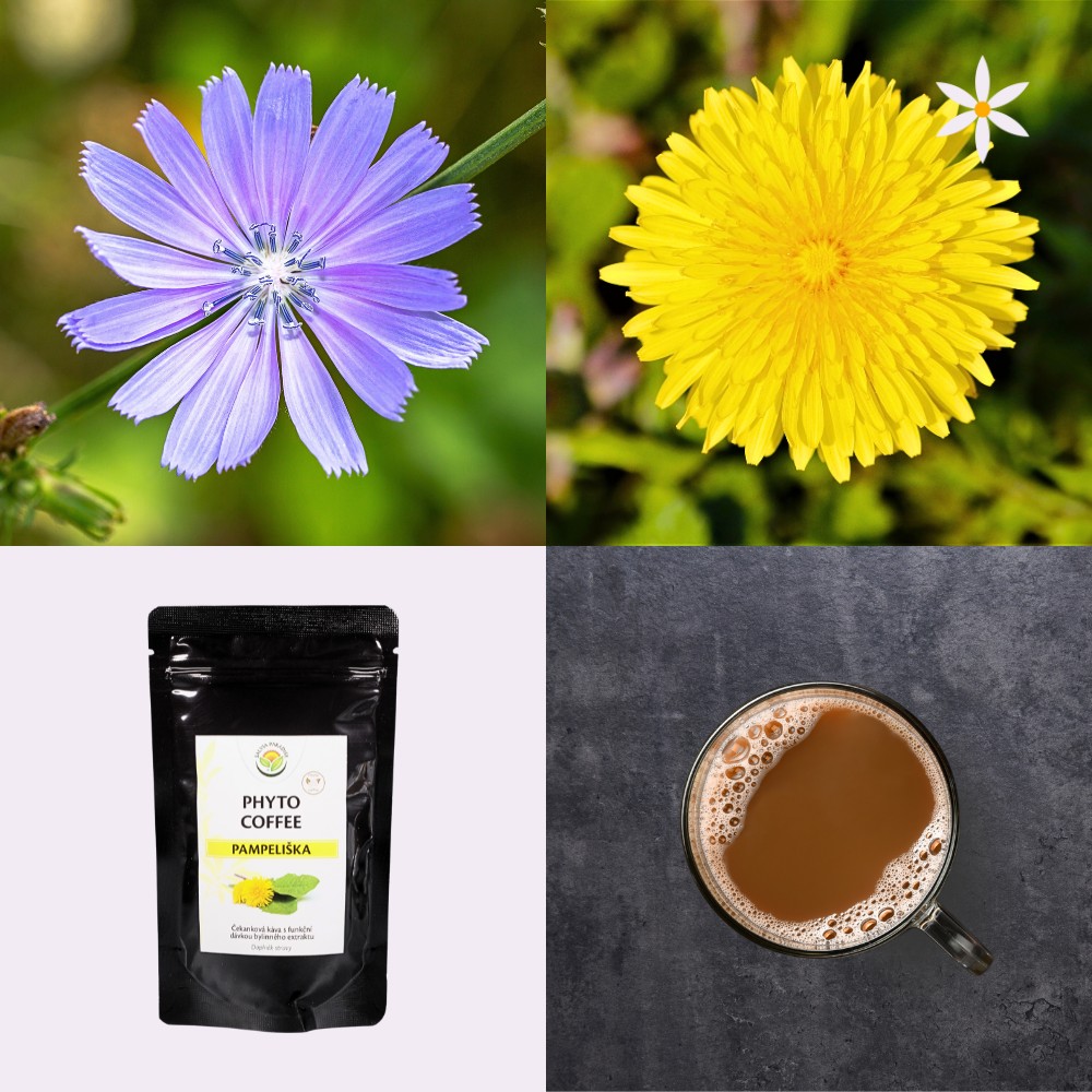 Bylinná káva ~ čekanka a pampeliška ~ Další produktové fotografie