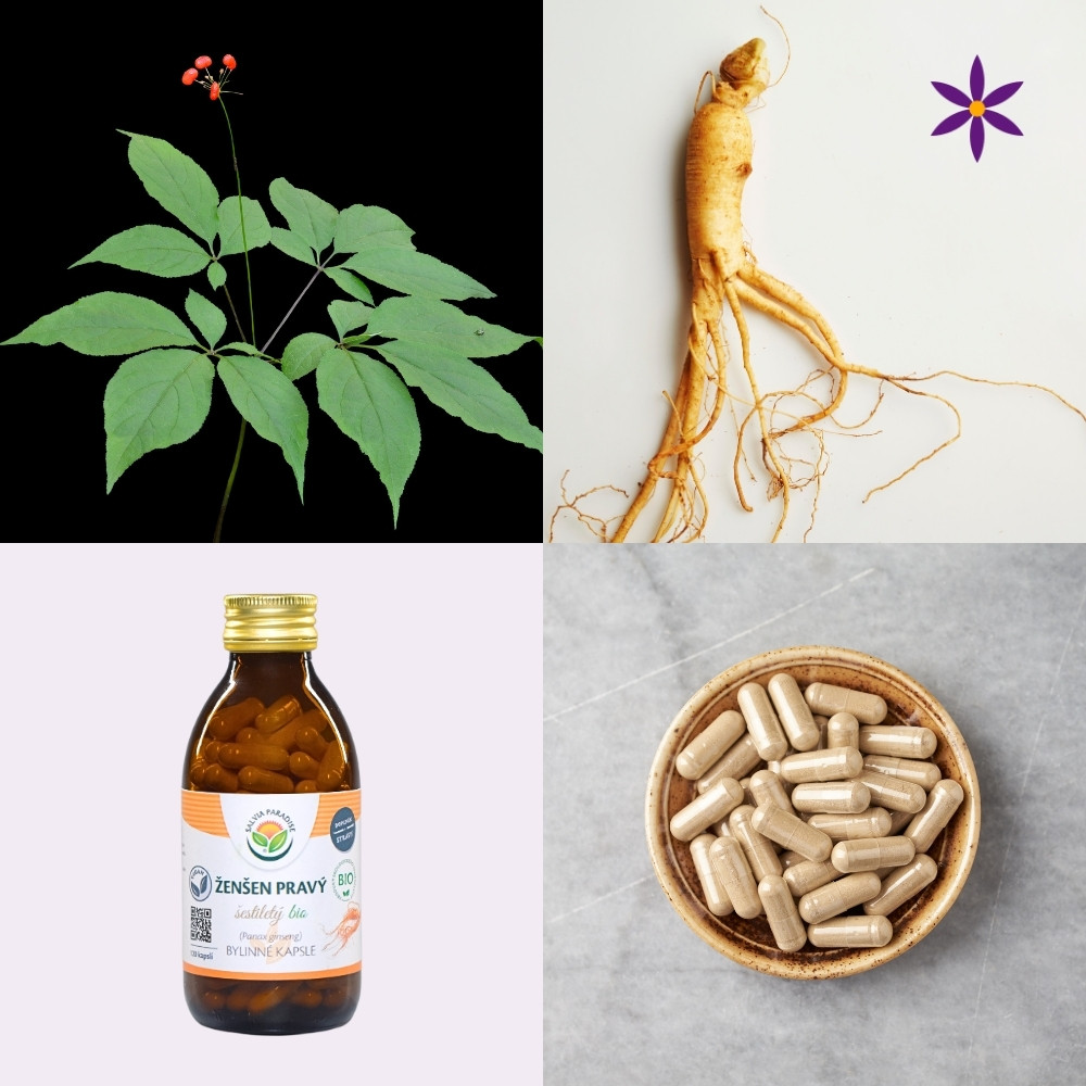 Ženšen pravý ~ vegan kapsle ~ Další produktové fotografie