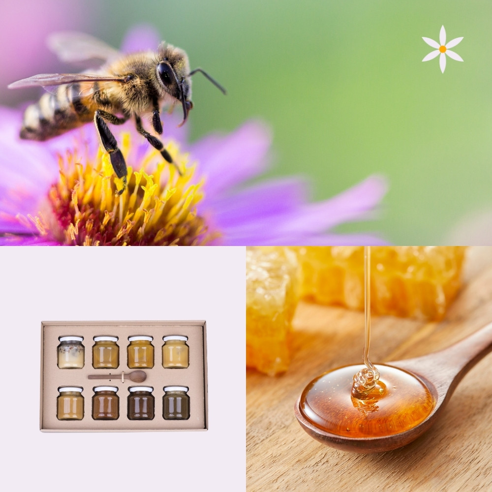 Degustační sada medů ~ další produktové fotografie