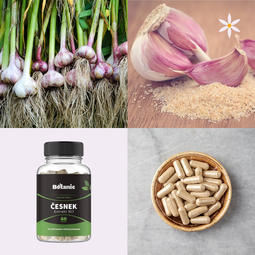 Česnek ~ extrakt vegan kapsle ~ Další produktové fotografie