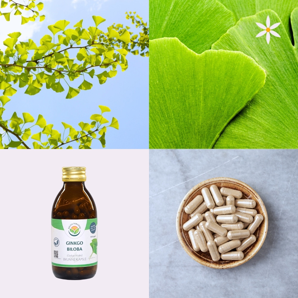 Ginkgo ~ vegan kapsle ~ Další produktové fotografie