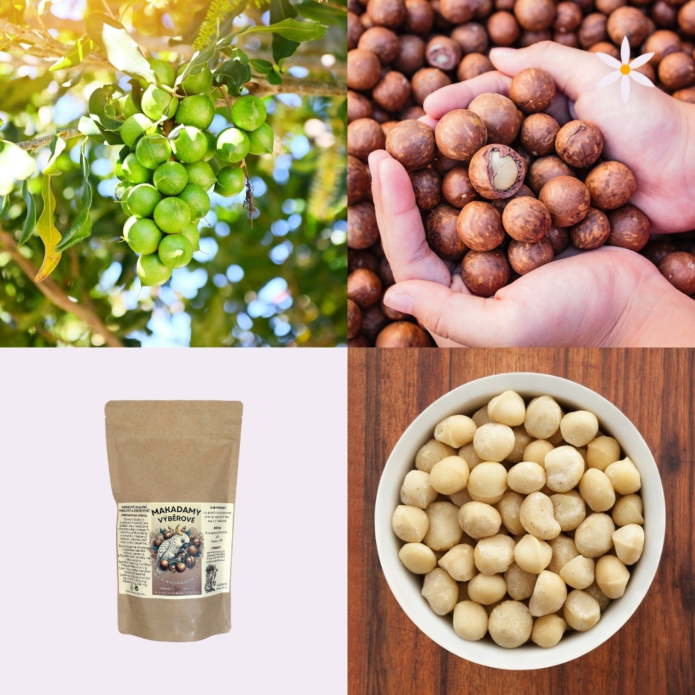 Makadamové ořechy ~ Další produktové fotografie