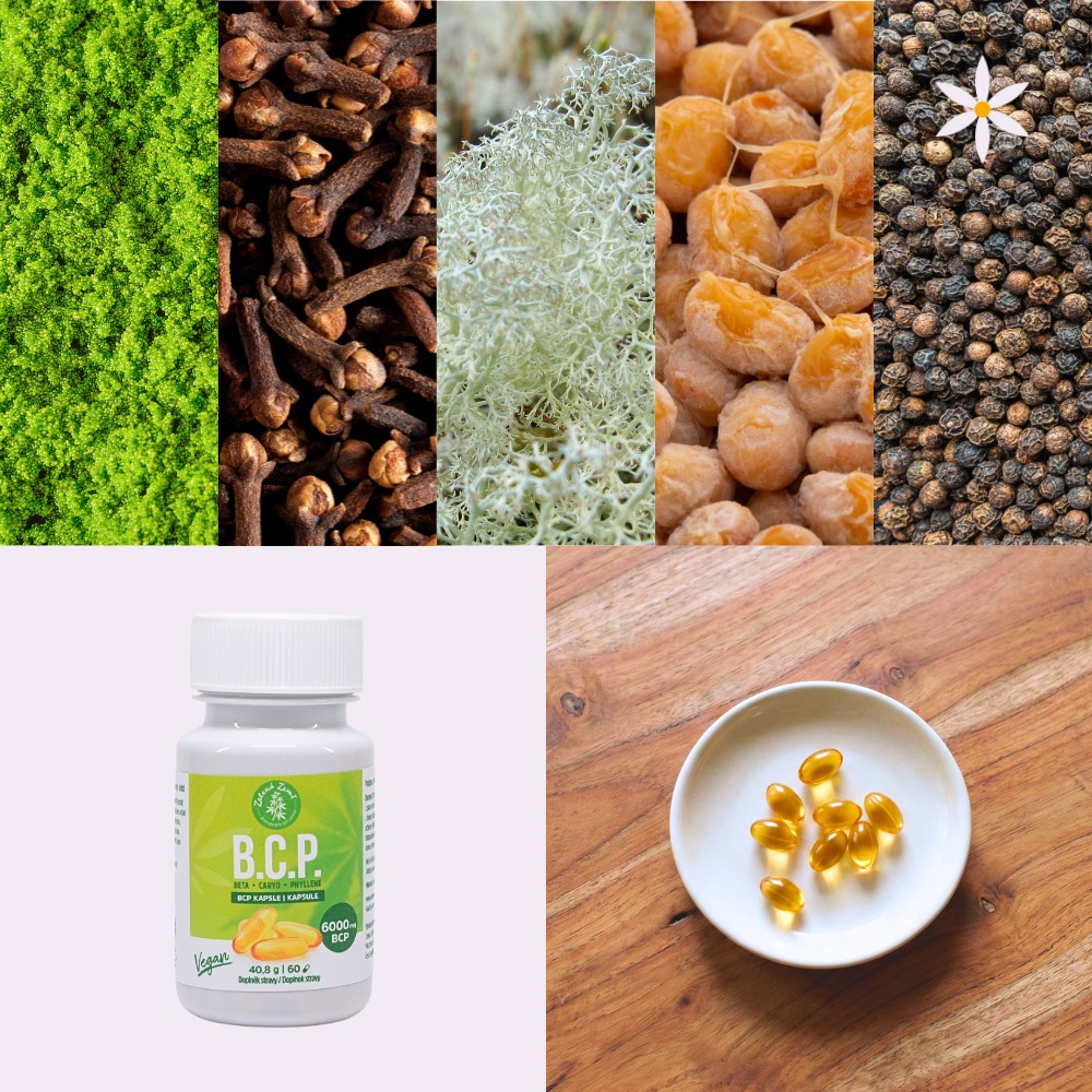 BCP kapsle ~ další produktové fotografie